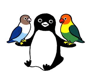 坂崎千春　ペンギンとボタンインコ